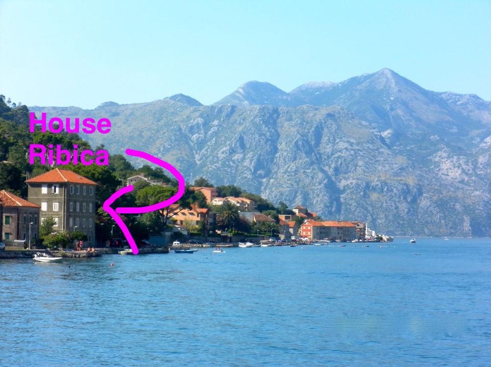 Ribica Apartments Kotor Exterior foto